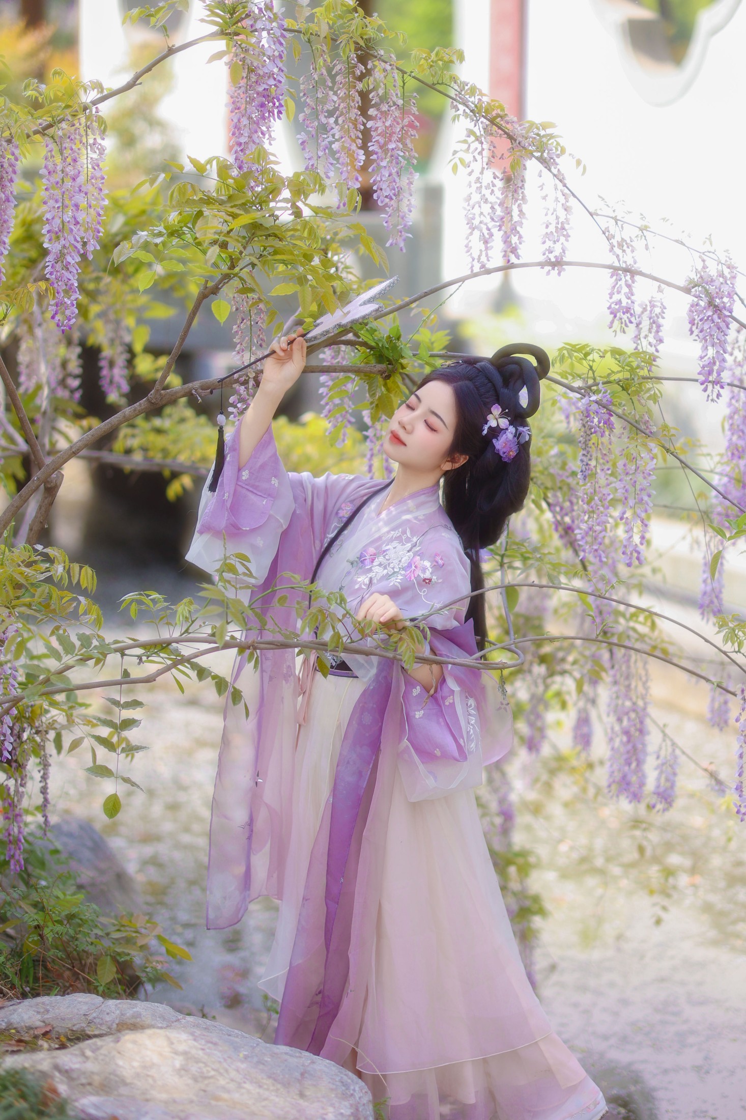 小杜同学 – 《紫藤》[40P] 插图5