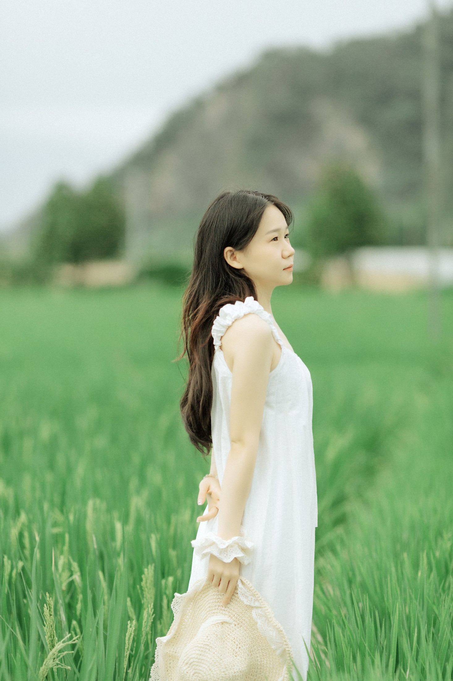 vivi – 《稻花香》[26P]