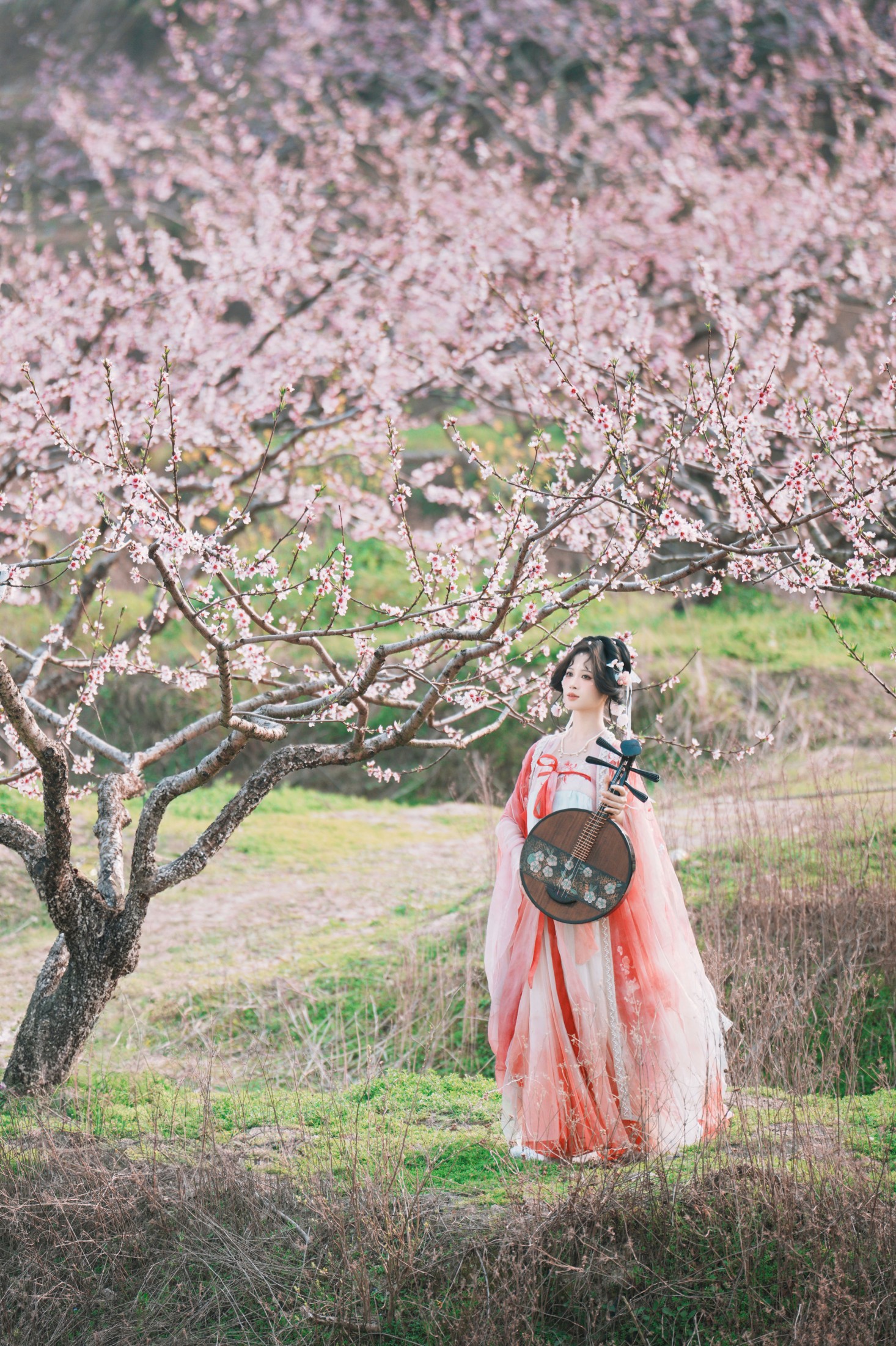 夏煦 – 《古风桃花人像》[19P] 插图1